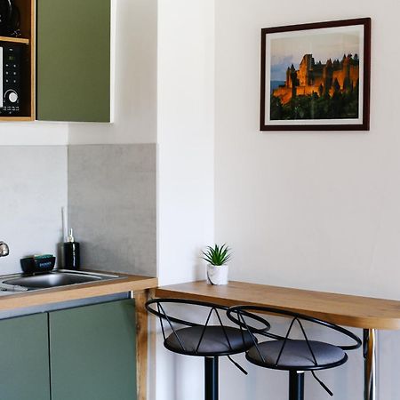 Studio Avec Parking Vue Sur La Cite De Καρκασόν Εξωτερικό φωτογραφία