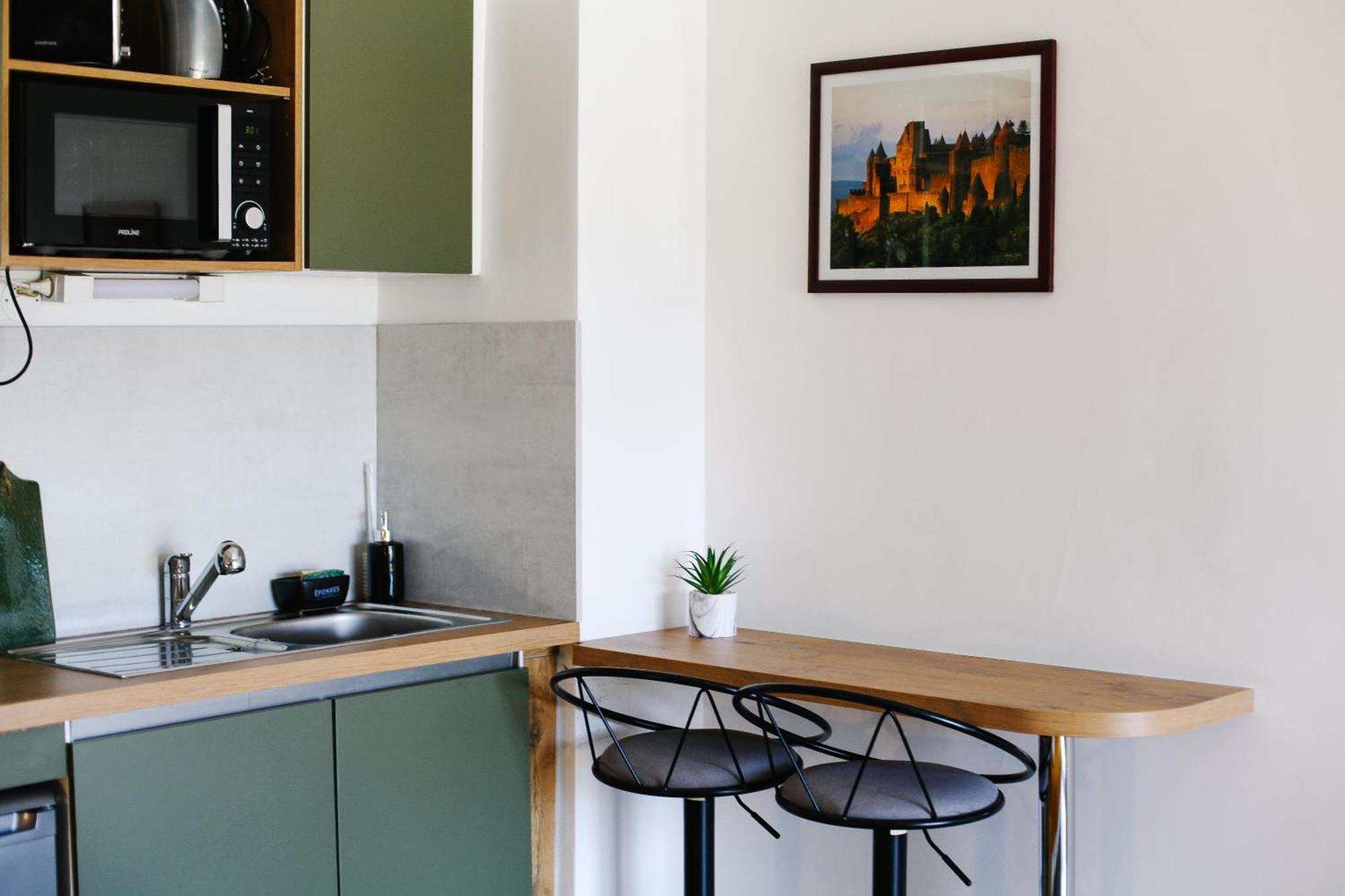 Studio Avec Parking Vue Sur La Cite De Καρκασόν Εξωτερικό φωτογραφία